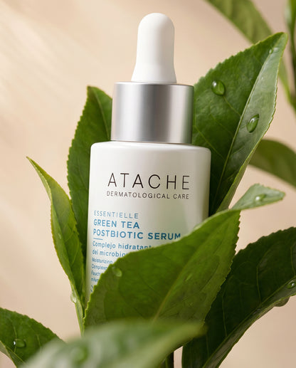 Atache - Green Tea Postbiotic Serum - 30ml